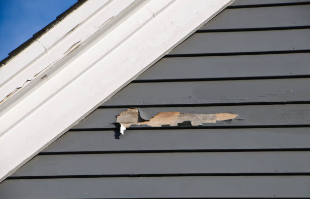 Best Shed Removal  in Pickens, MS